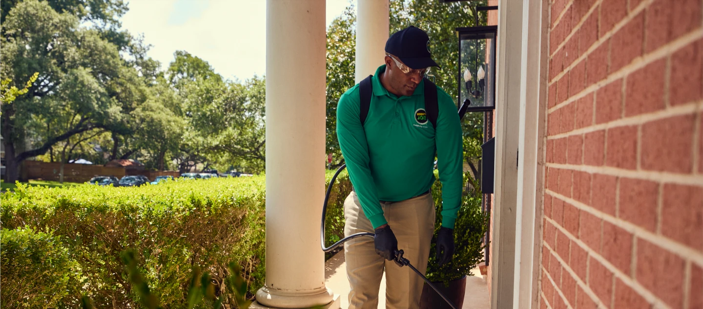 Technician spraying perimeter of home.