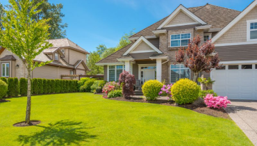 Front yard of home.